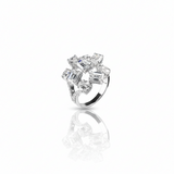 The Aurora Cluster Ring